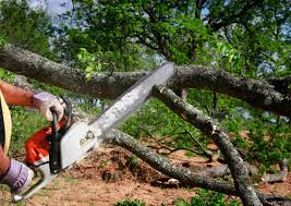 Best Lot and Land Clearing  in Hiller, PA